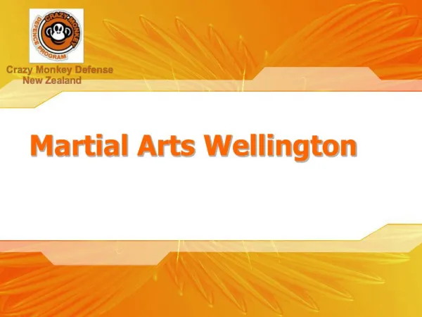 Martial Arts Training Wellington