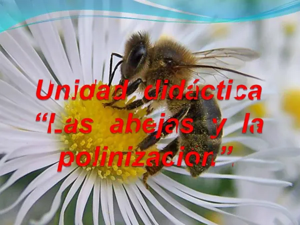 Unidad did ctica Las abejas y la polinizaci n .
