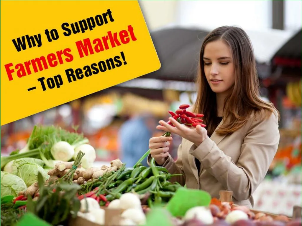 why to support farmers market top reasons