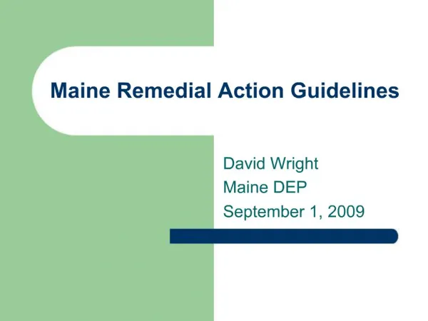 Maine Remedial Action Guidelines