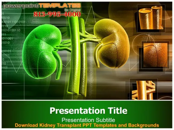 Download Kidney Transplant PPT Templates and Backgrounds