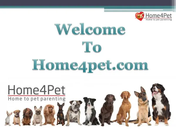 Pet Food, Accessories and Services @ home4pet