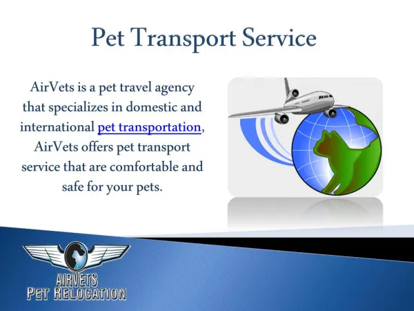 Pet Transport Service
