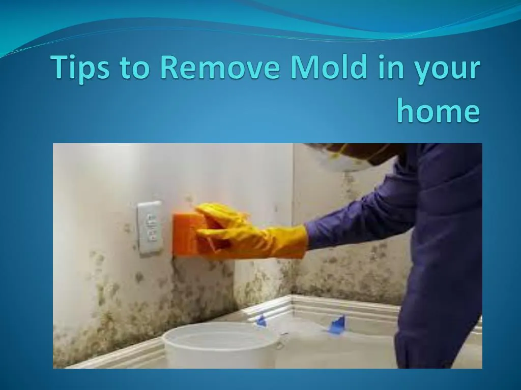 tips to remove mold in your home