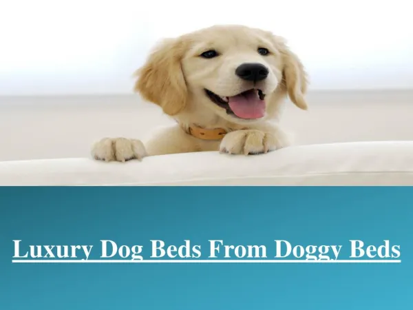 Buy Luxury Dog Beds from Doggy Beds