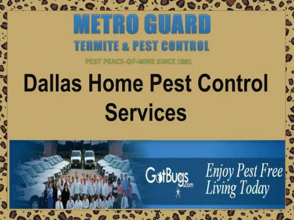 Dallas Home Pest Control Services