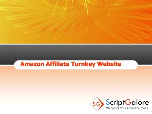 Amazon affiliate turnkey websites