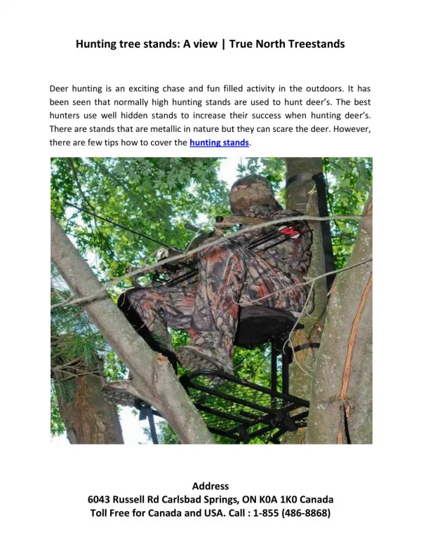 Hunting tree stands: A view | True North Treestands