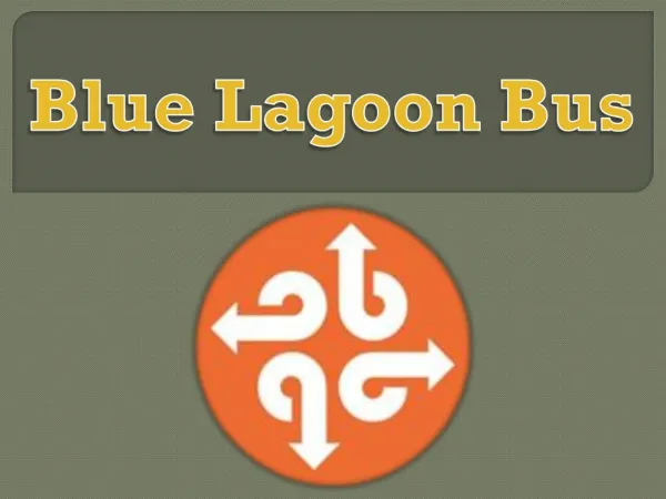 Blue lagoon bus