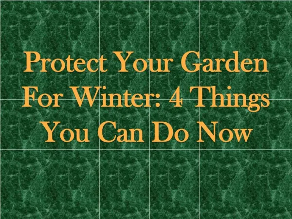 Protect Your Garden For Winter 4 Things You Can Do Now