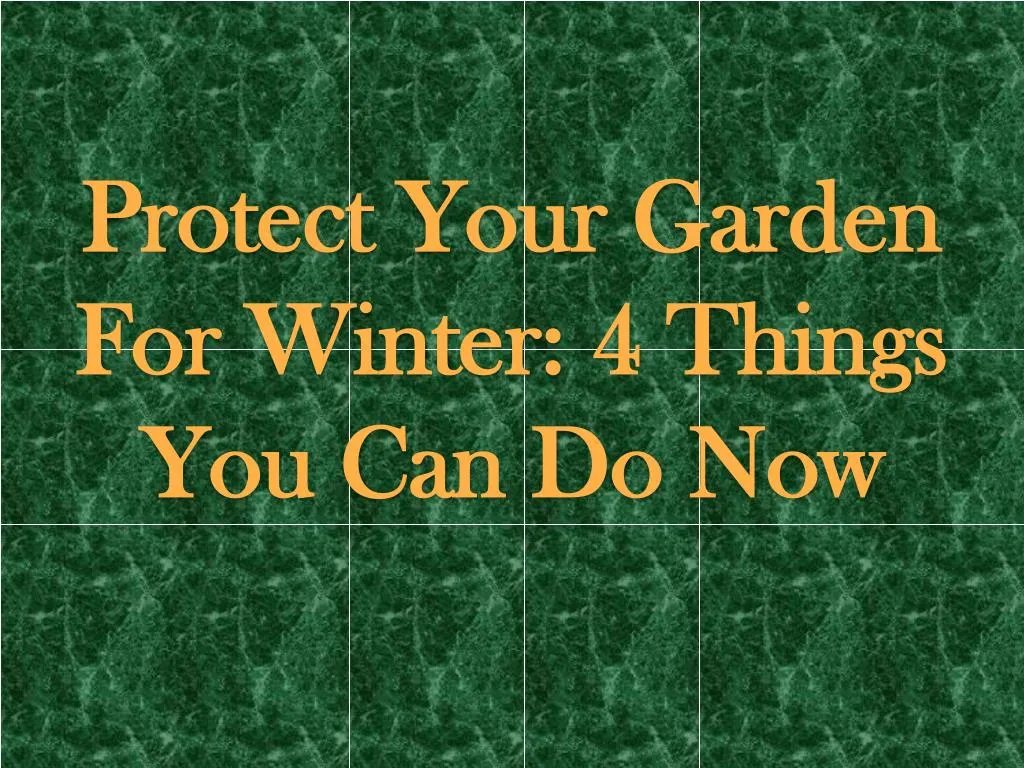 protect your garden for winter 4 things you can do now