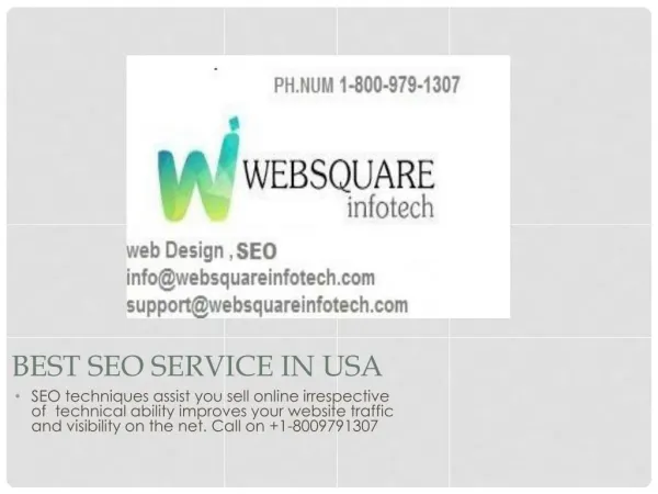 Best SEO Services Company in USA-Websquare Infotech Call on 1-8009791307.