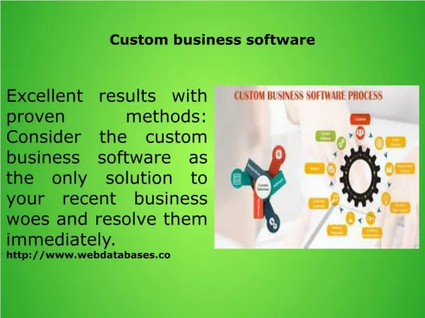 Custom business software