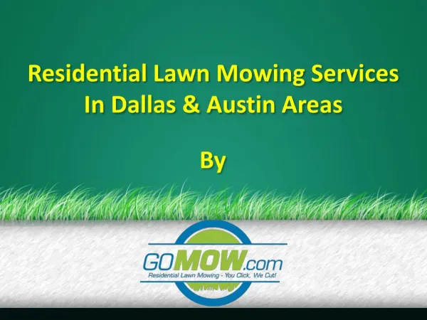 Lawn Maintenance Dallas