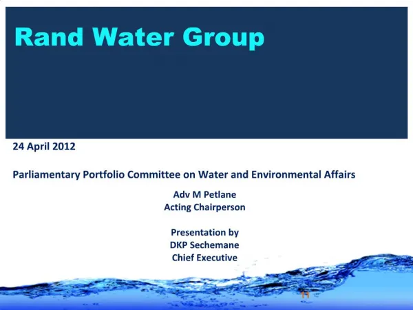 Rand Water Group