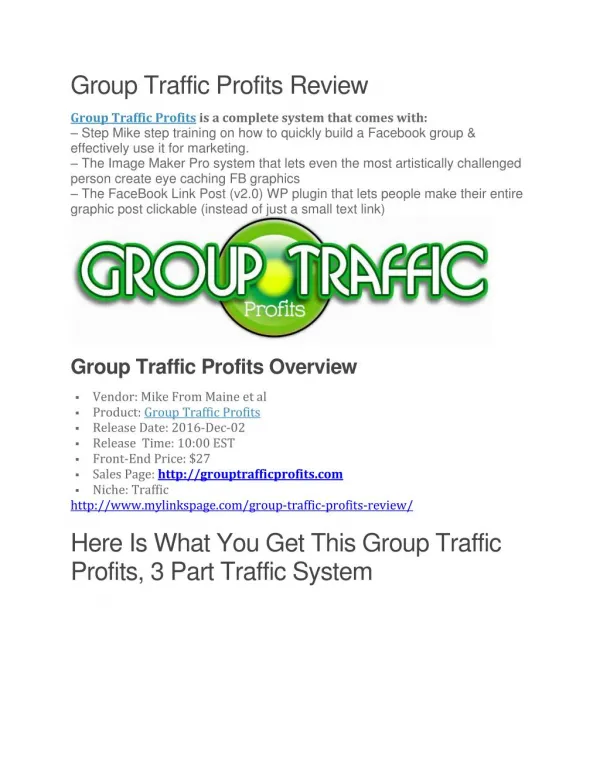 Group Traffic Profits review