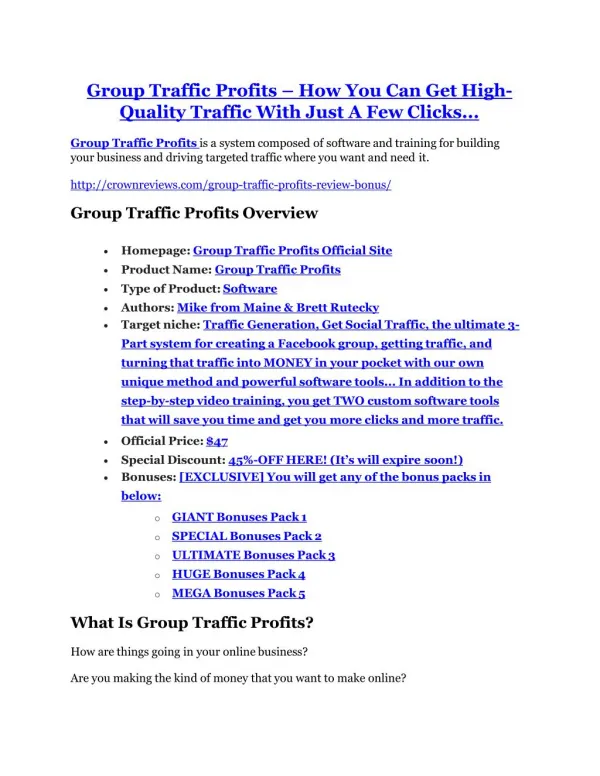 Group Traffic Profits review & (GIANT) $24,700 bonus
