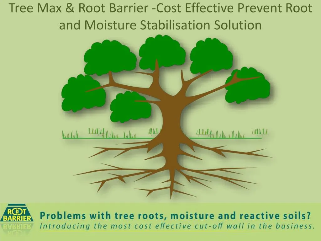 tree max root barrier cost effective prevent root and moisture stabilisation solution