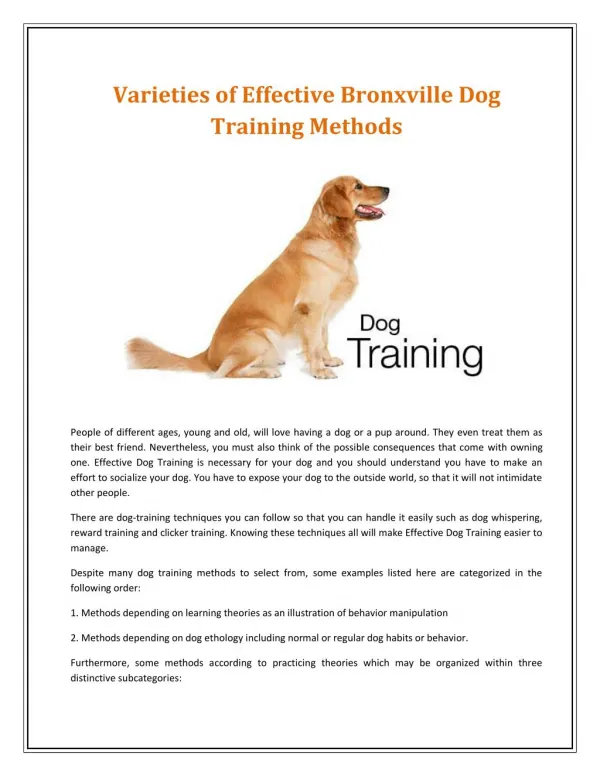 Brewster Dog Training