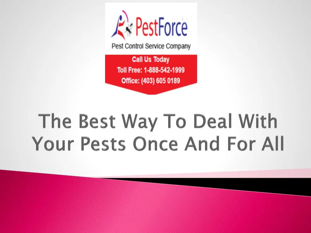 the best way to deal with your pests once and for all