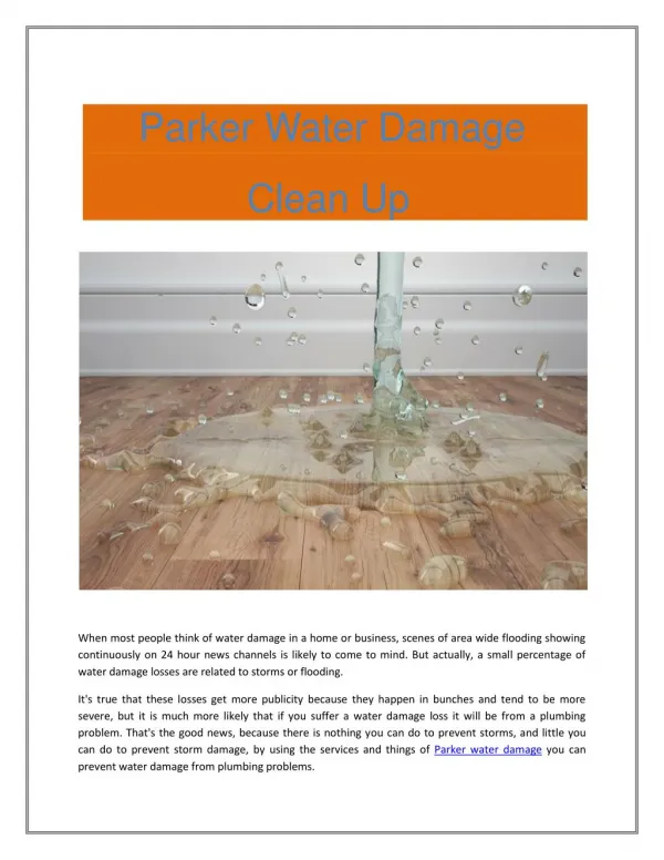 Parker Water Damage