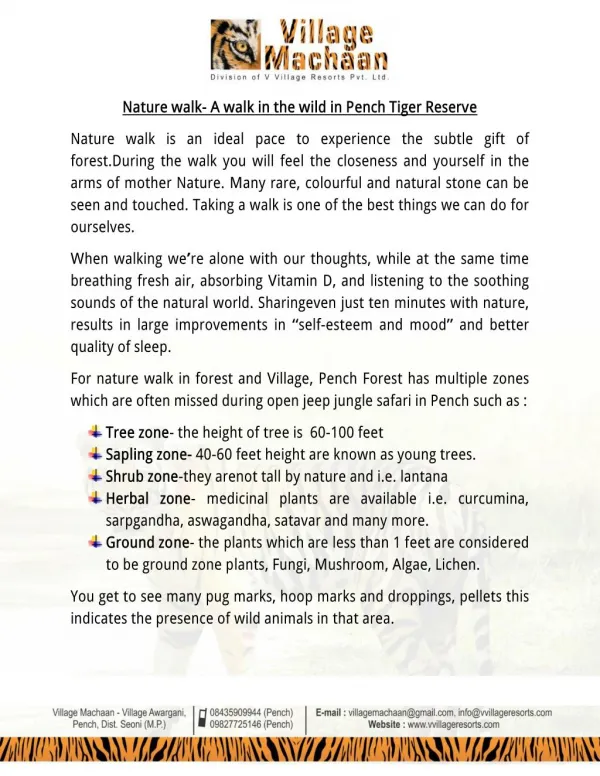 Nature walk- A walk in the wild in Pench Tiger Reserve