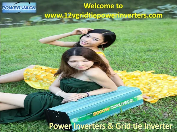 Search China based Power Inverter Supplier