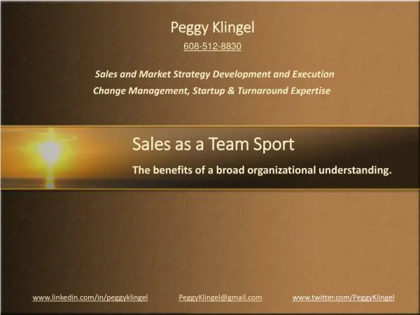 Sales as a Team Sport by Peggy Klingel