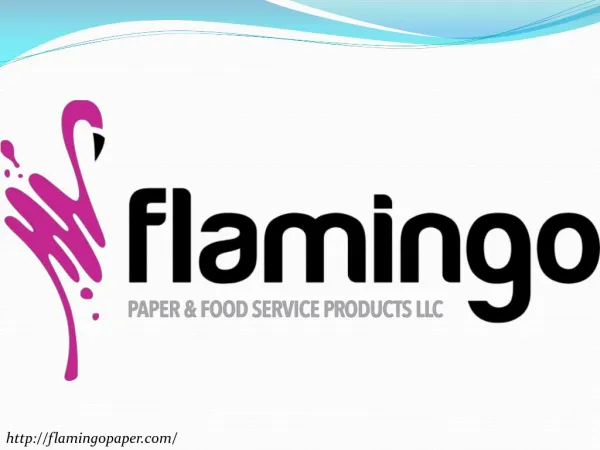 Premium Disposable Tableware Solutions - Flamingo Paper and Food Services LLC
