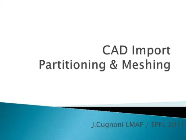 CAD Import Partitioning Meshing