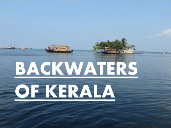 Placid Emerald backwaters of Kerala