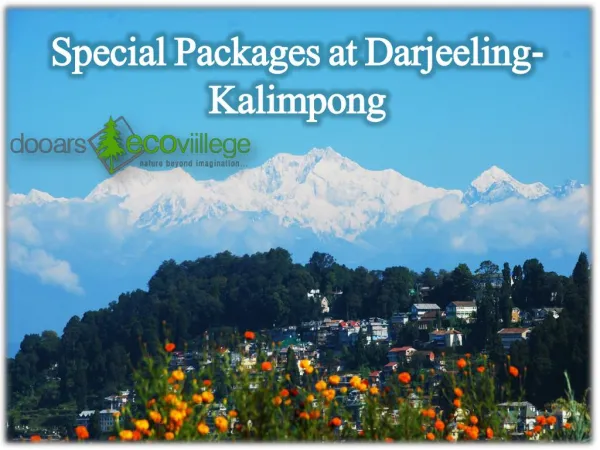 Complete Packages for Darjeeling-Kalimpong/Delo-LAVA.