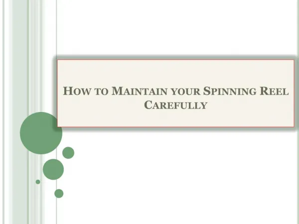 How to Maintain your Spinning Reel Carefully