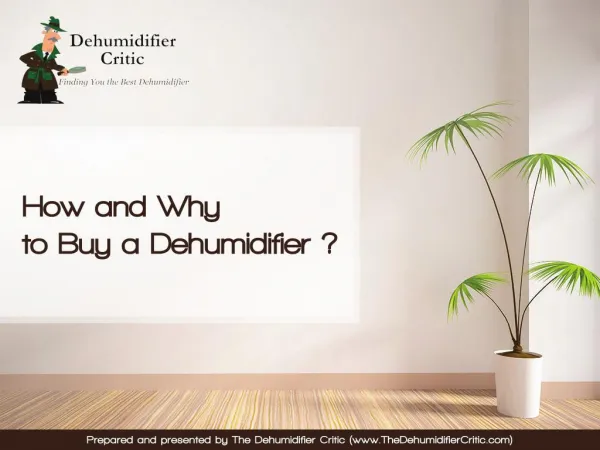 How and Why to Buy a Dehumidifier - The Dehumidifier Critic's Guide