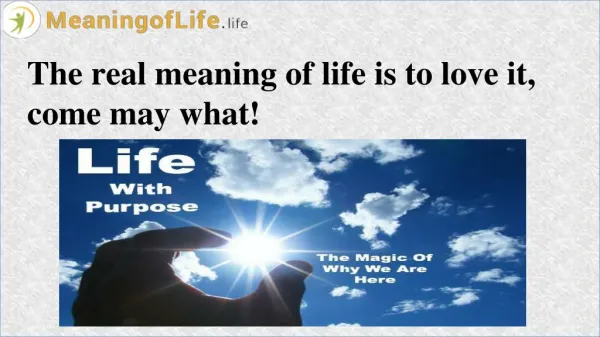 Real Purpose and Meaning of Life