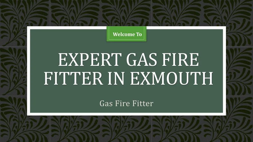 expert gas fire fitter in exmouth