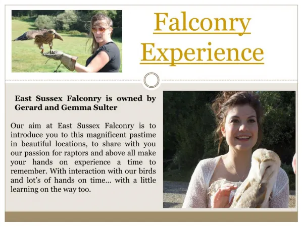 Falconry dayout