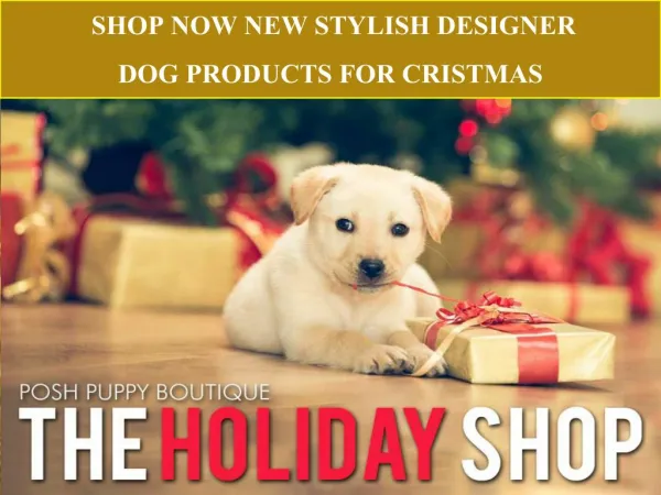 SHOP NOW NEW STYLISH DESIGNER DOG PRODUCTS FOR CRISTMAS-POSH PUPPY BOUTIQUE