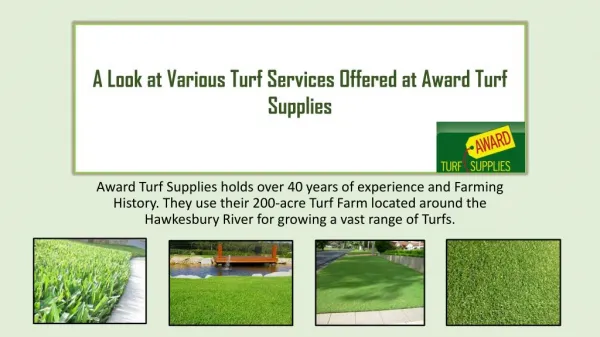 A Look at Various Turf Services Offered at Award Turf Supplies