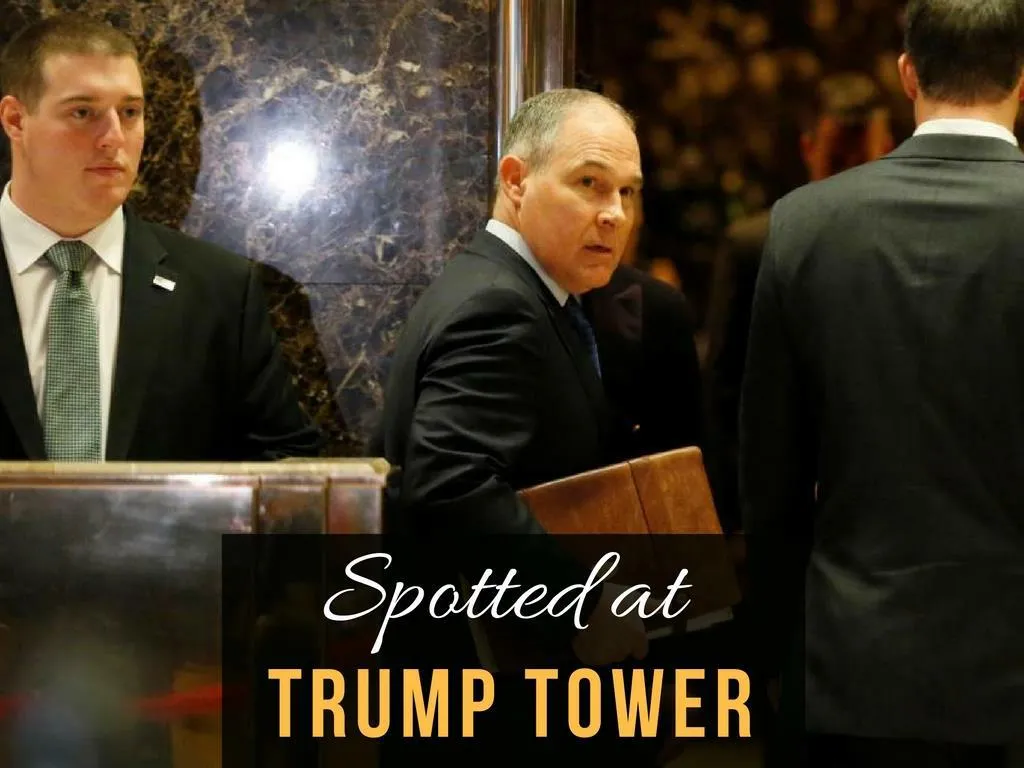 spotted at trump tower