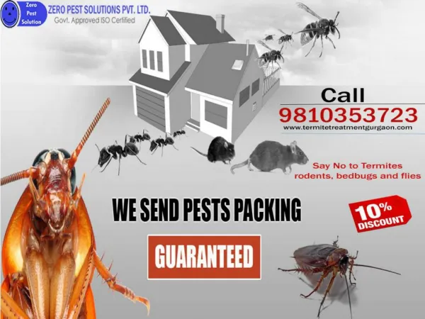 Avail 10% special discount on termite control services in Gurgaon.