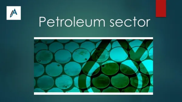 Report on Petroleum Sector