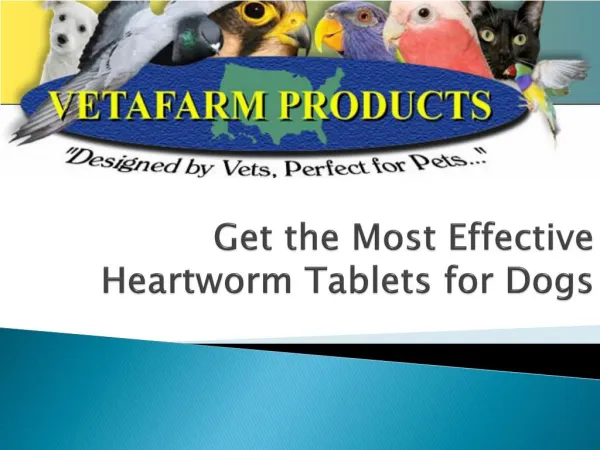 Get the Most Effective Heartworm Tablets for Dogs