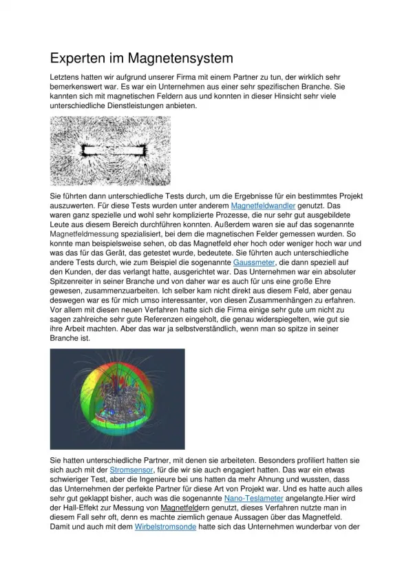 Experten im Magnetensystem