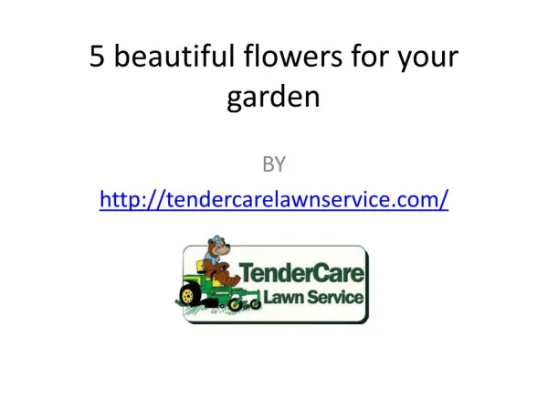 5 beautiful flowers for your garden