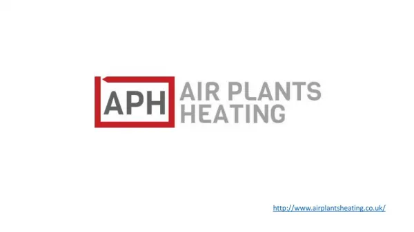 Air Plants Heating Ltd