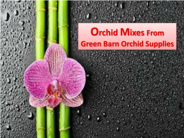 Orchid Mixes- Green Barn Orchid Supplies