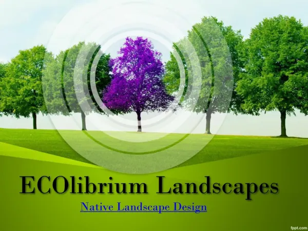 Sustainable Landscapes | Landscaping Southern Highlands | ECOlibrium Landscapes
