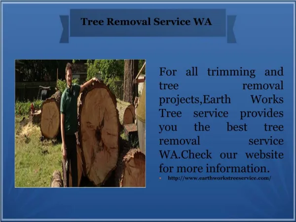 Tree Removal Service WA