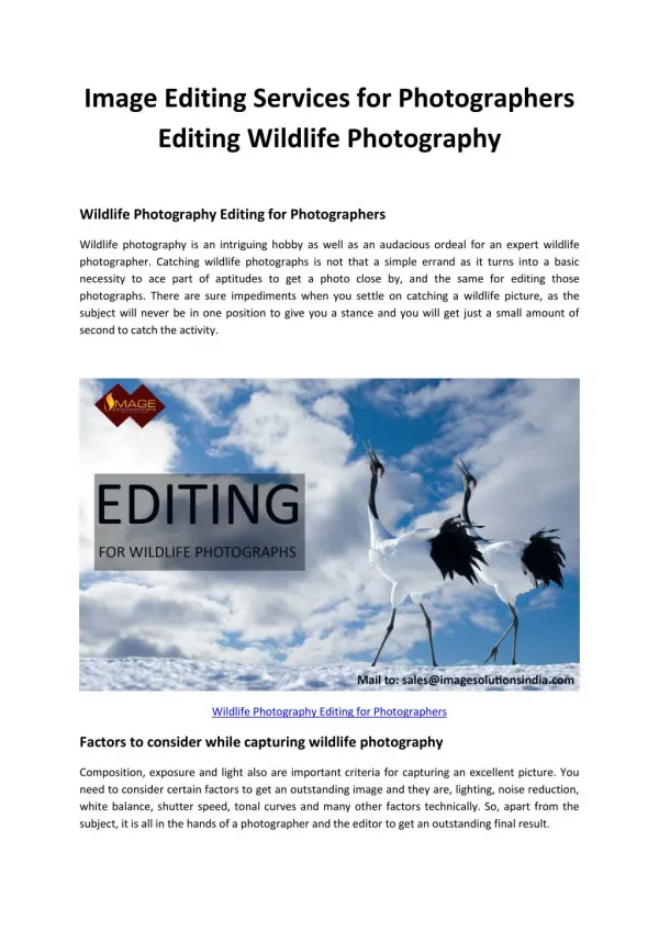 Image Editing Services for Photographers - Editing Wildlife Photography